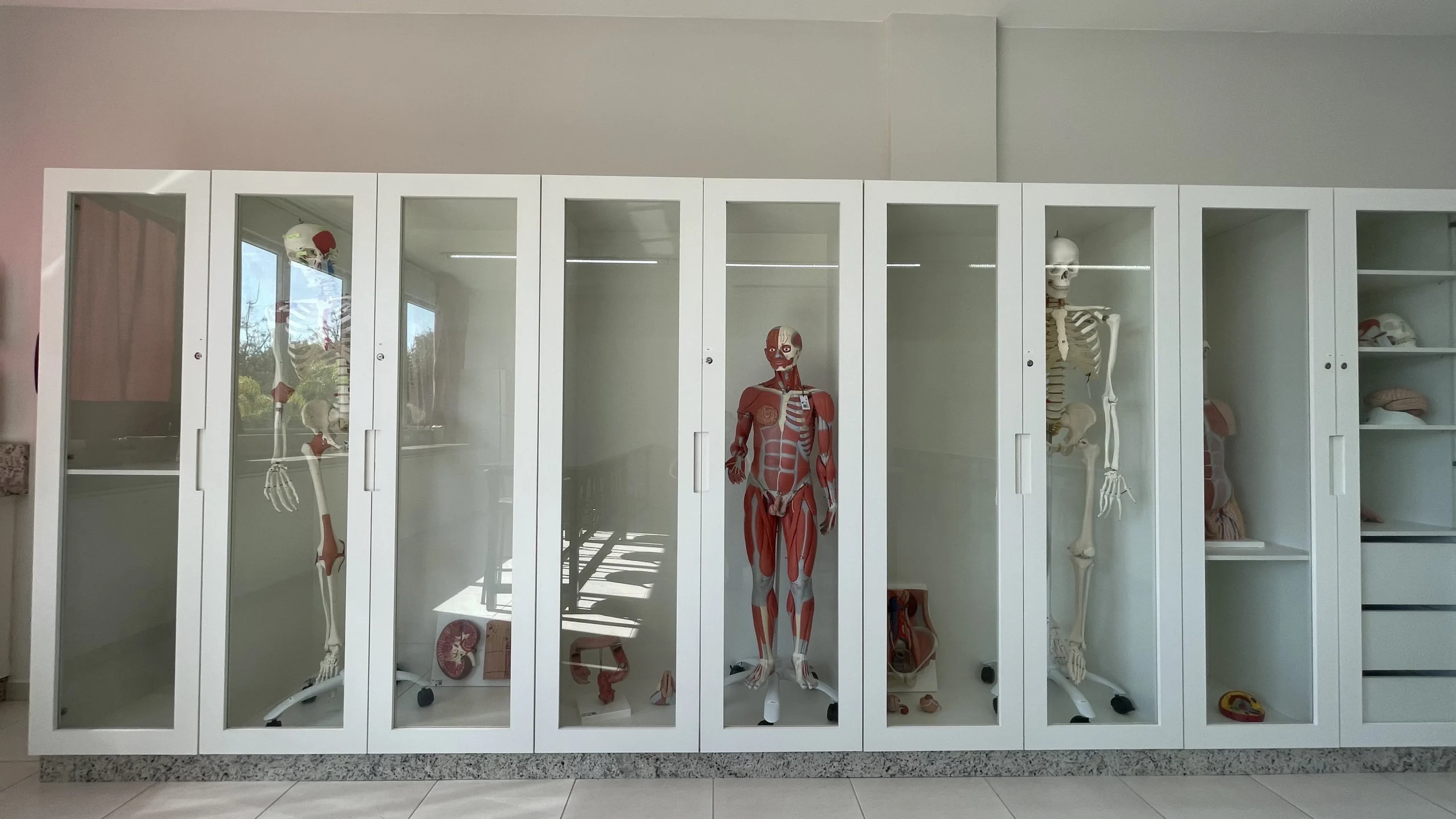Lab Nutrição (5)
