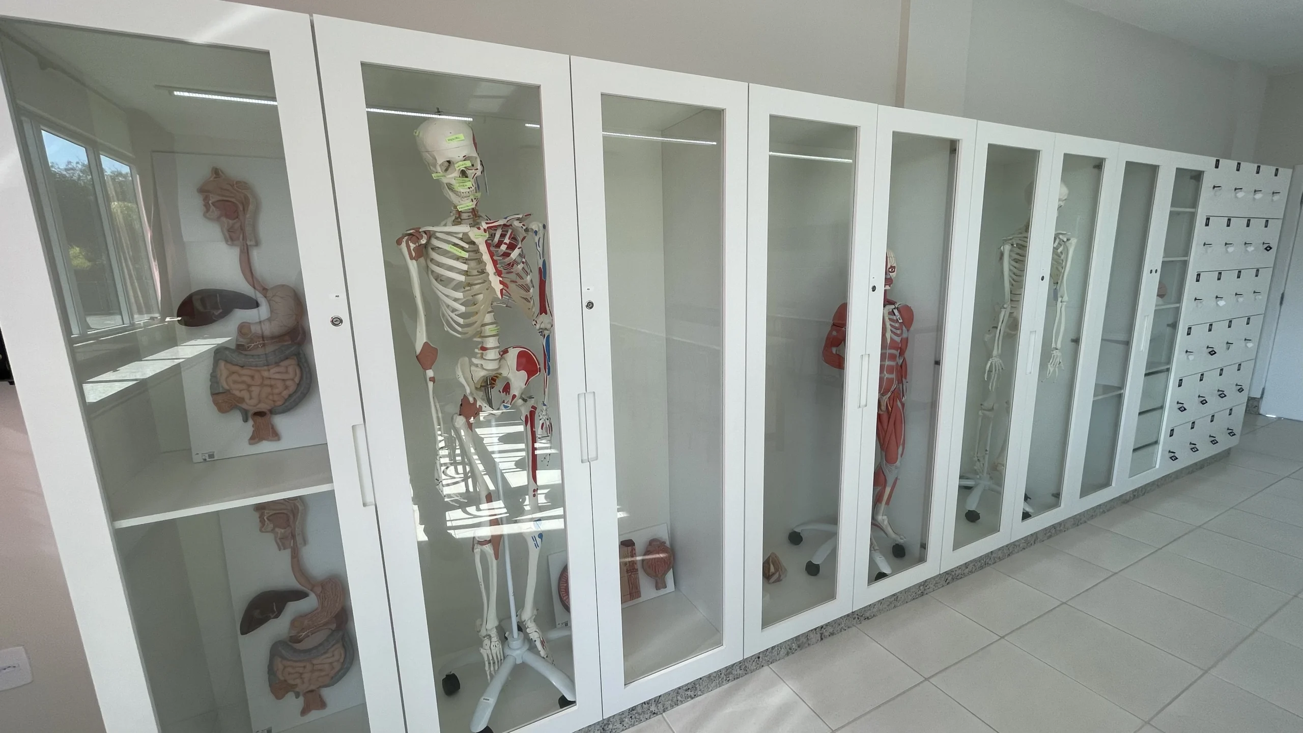 Lab Nutrição (6)